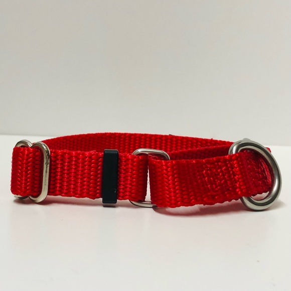 2Hounds Design Martingale Nylon Dog Collar, Red, XS - Picture 3 of 6